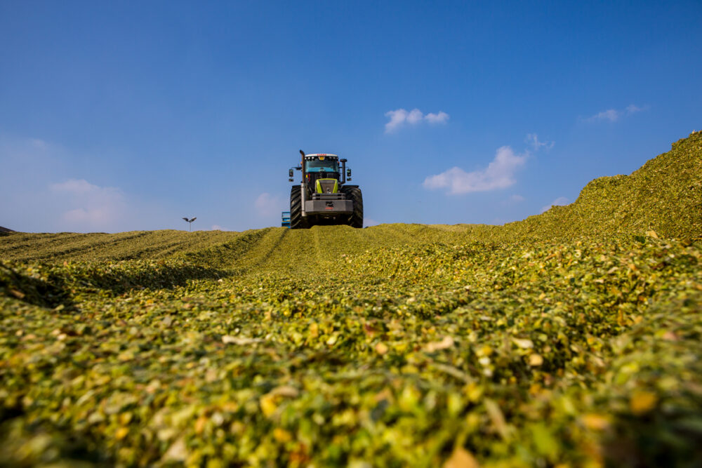 Blog Azienda Agricola